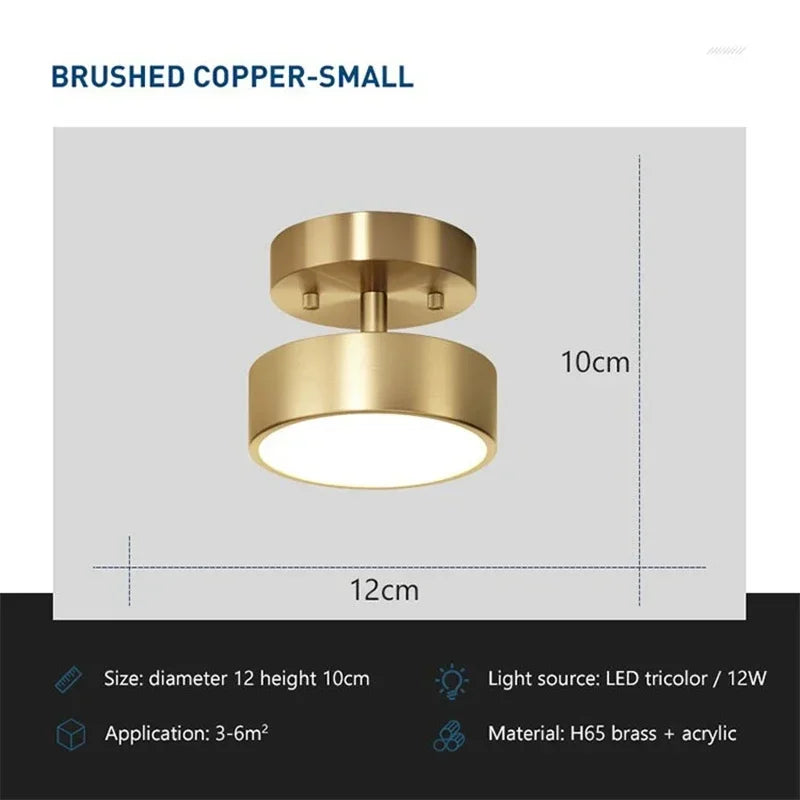 LED Ceiling Light Modern Rotatable Lamp For Corridor Bedroom Living Room Restaurant Indoor Home Decor Round Illumination Fixture