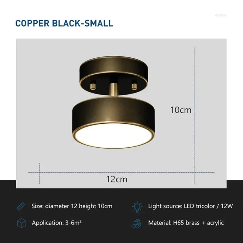 LED Ceiling Light Modern Rotatable Lamp For Corridor Bedroom Living Room Restaurant Indoor Home Decor Round Illumination Fixture